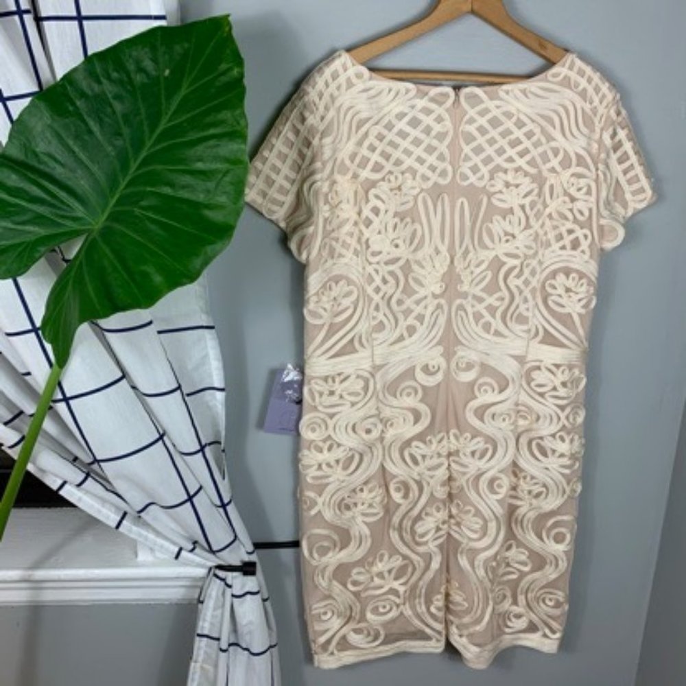 Nwt Js Collections Mini Dress Sheer Ribbon Tan - image 3